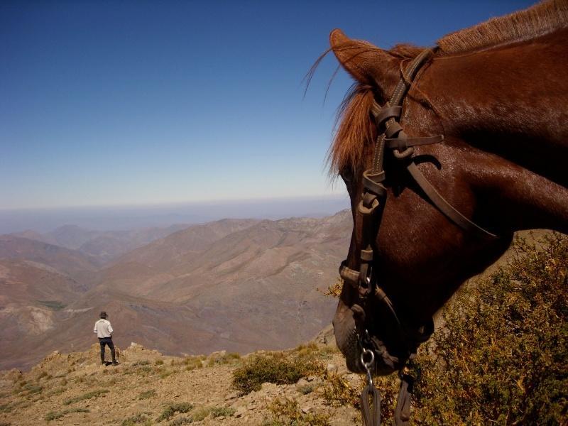 Hacienda Los Andes Villa Hurtado Dış mekan fotoğraf