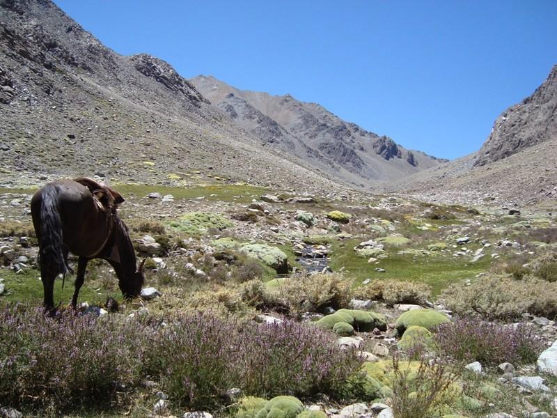 Hacienda Los Andes Villa Hurtado Dış mekan fotoğraf